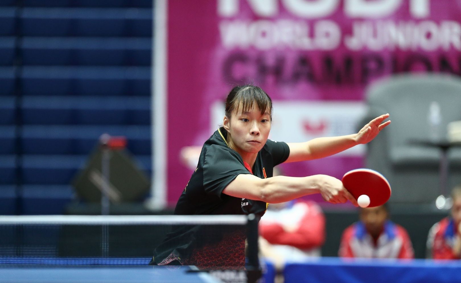 成功案例 成功案例